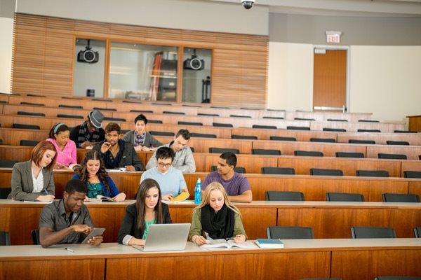 Higher Education