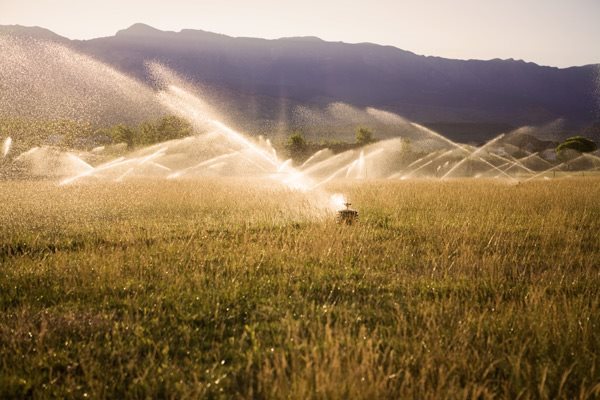 Rural Water