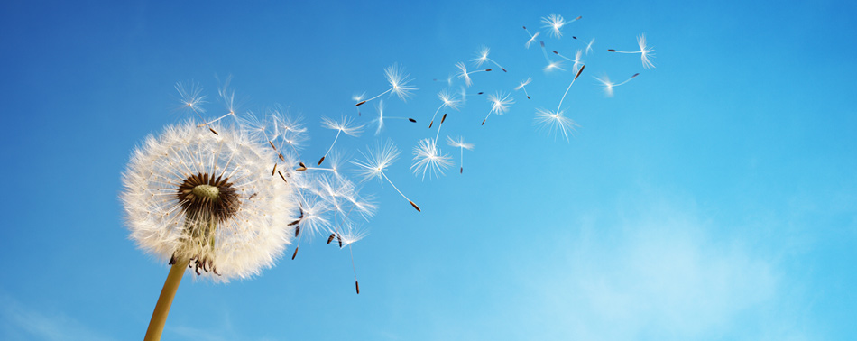 How to Navigate a Financial Windfall